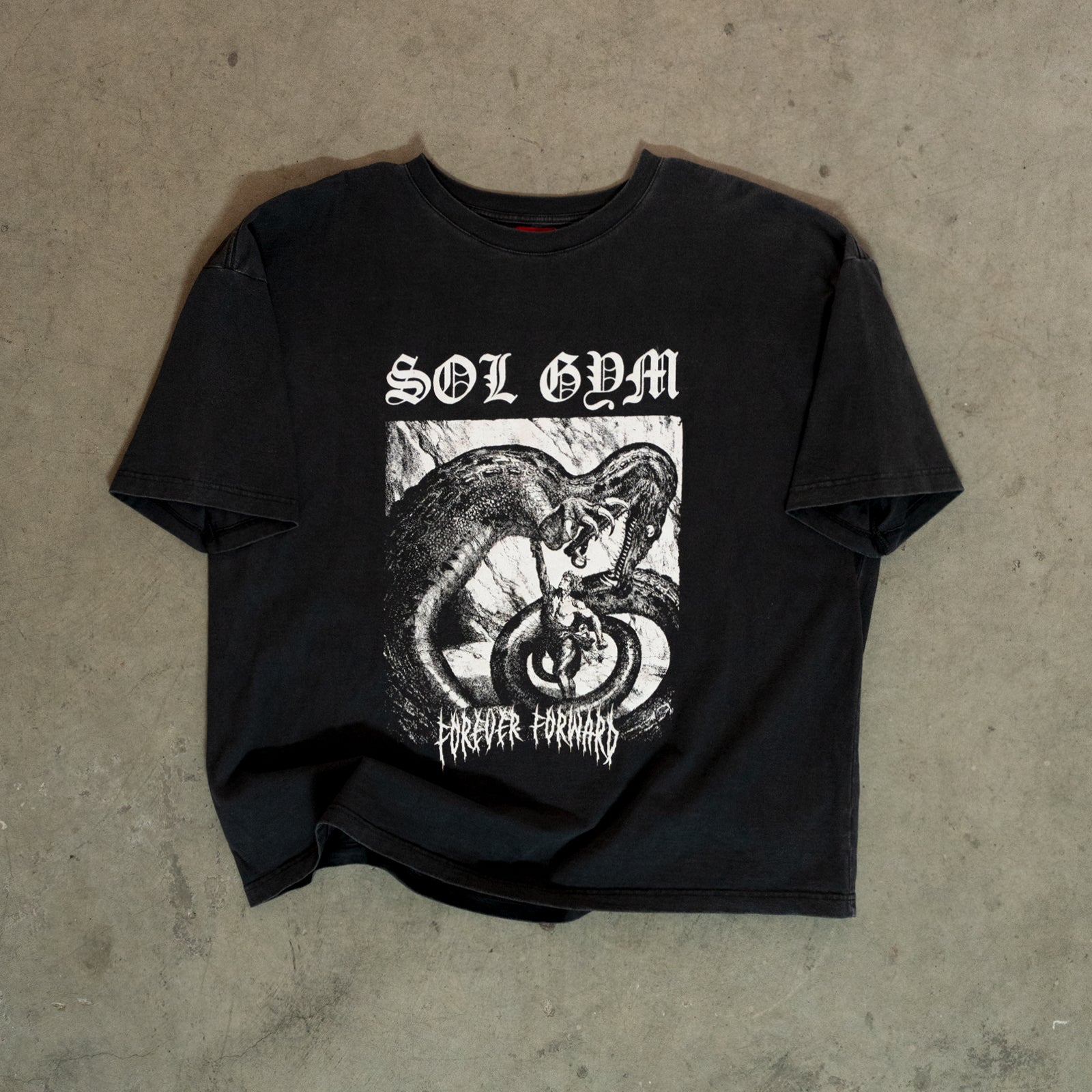 Vintage Dragonslayer Pumpcover Clothing Sol Gym