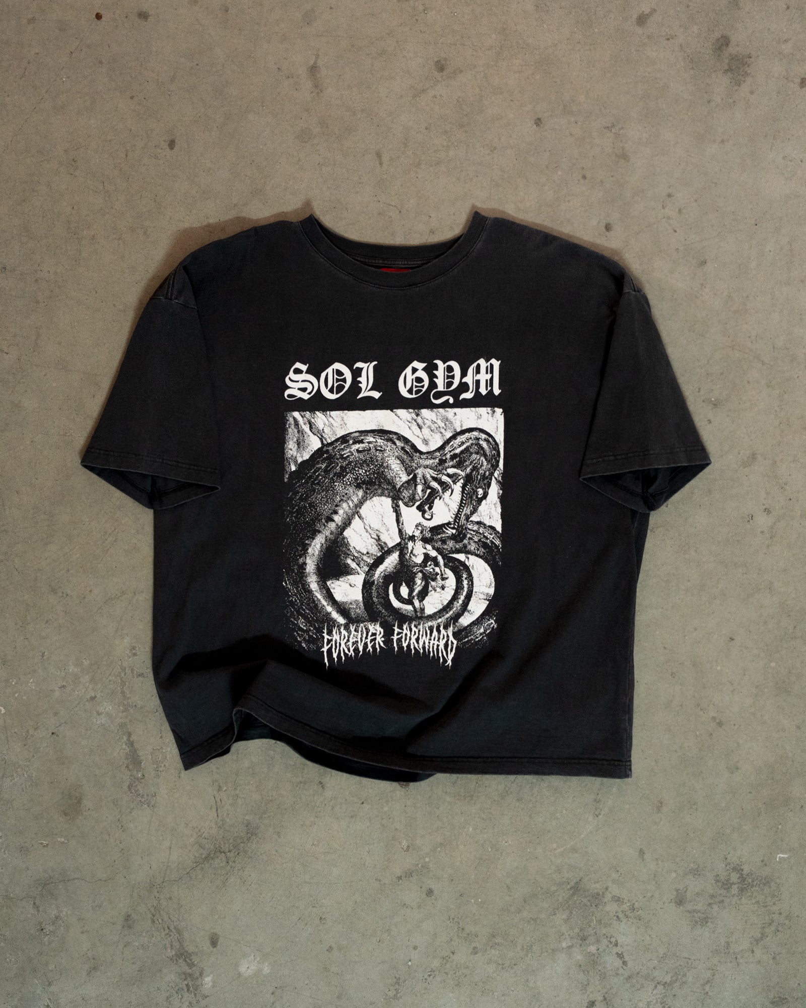 Vintage Dragonslayer Pumpcover Clothing Sol Gym