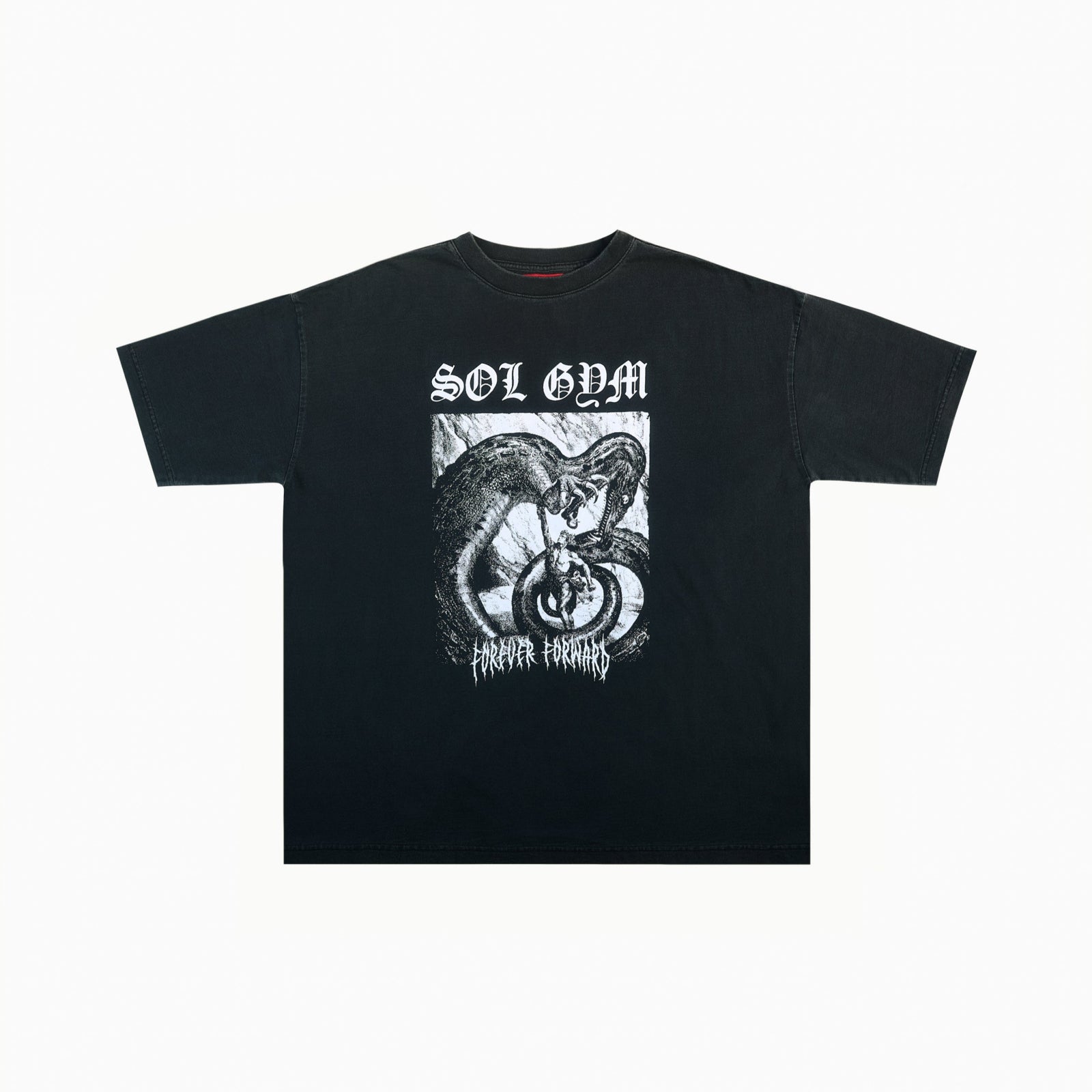 Vintage Dragonslayer Pumpcover Clothing Sol Gym