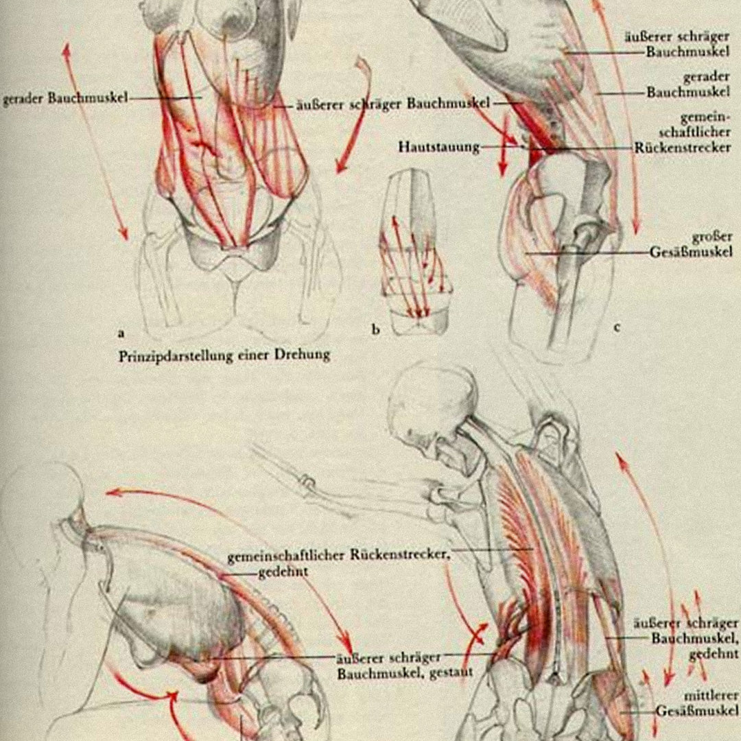 The Hidden Network of Connective Tissue and How to Keep It Healthy
