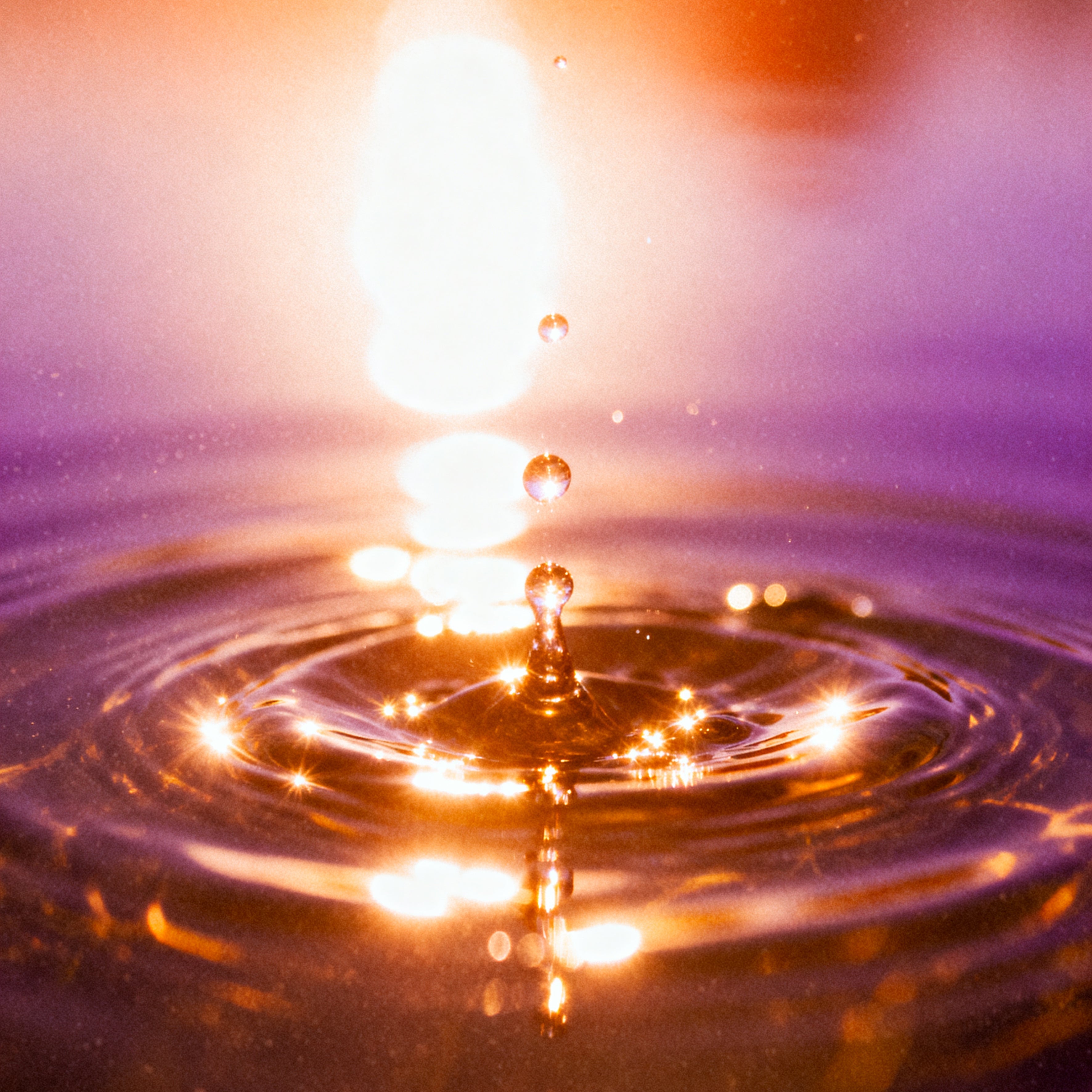 Not All Supplements Are Absorbed Equally: Understanding the Real Absorption Hierarchy