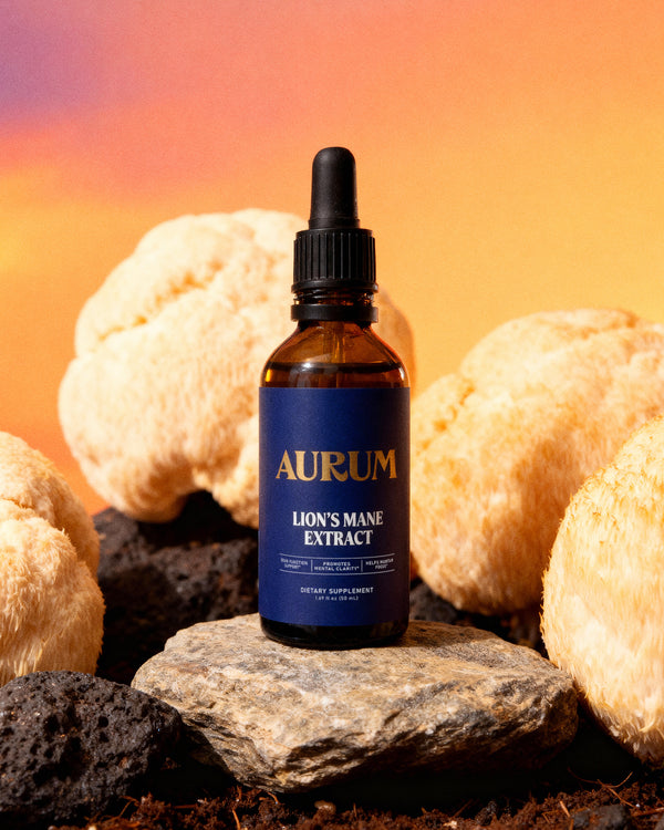 Lion's Mane Extract
