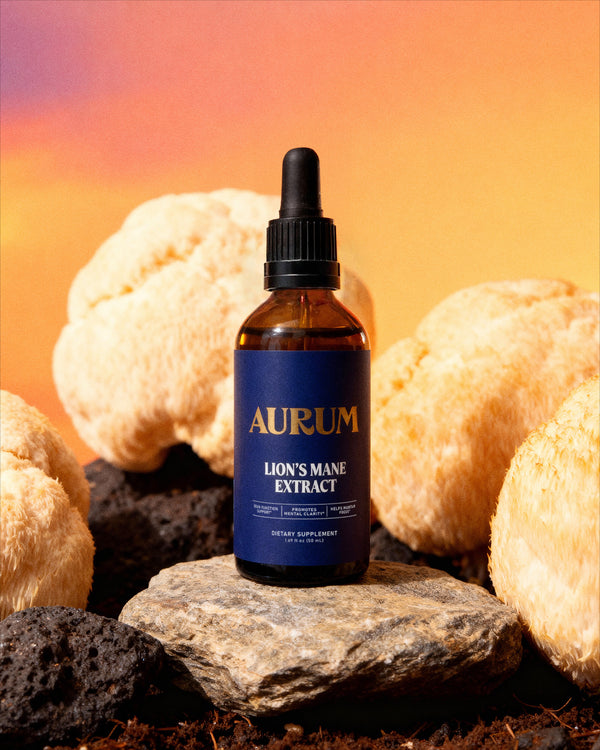 Lion's Mane Extract