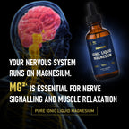 Aurum Ionic Liquid Magnesium bottle beside an illustration of the human head and nervous system