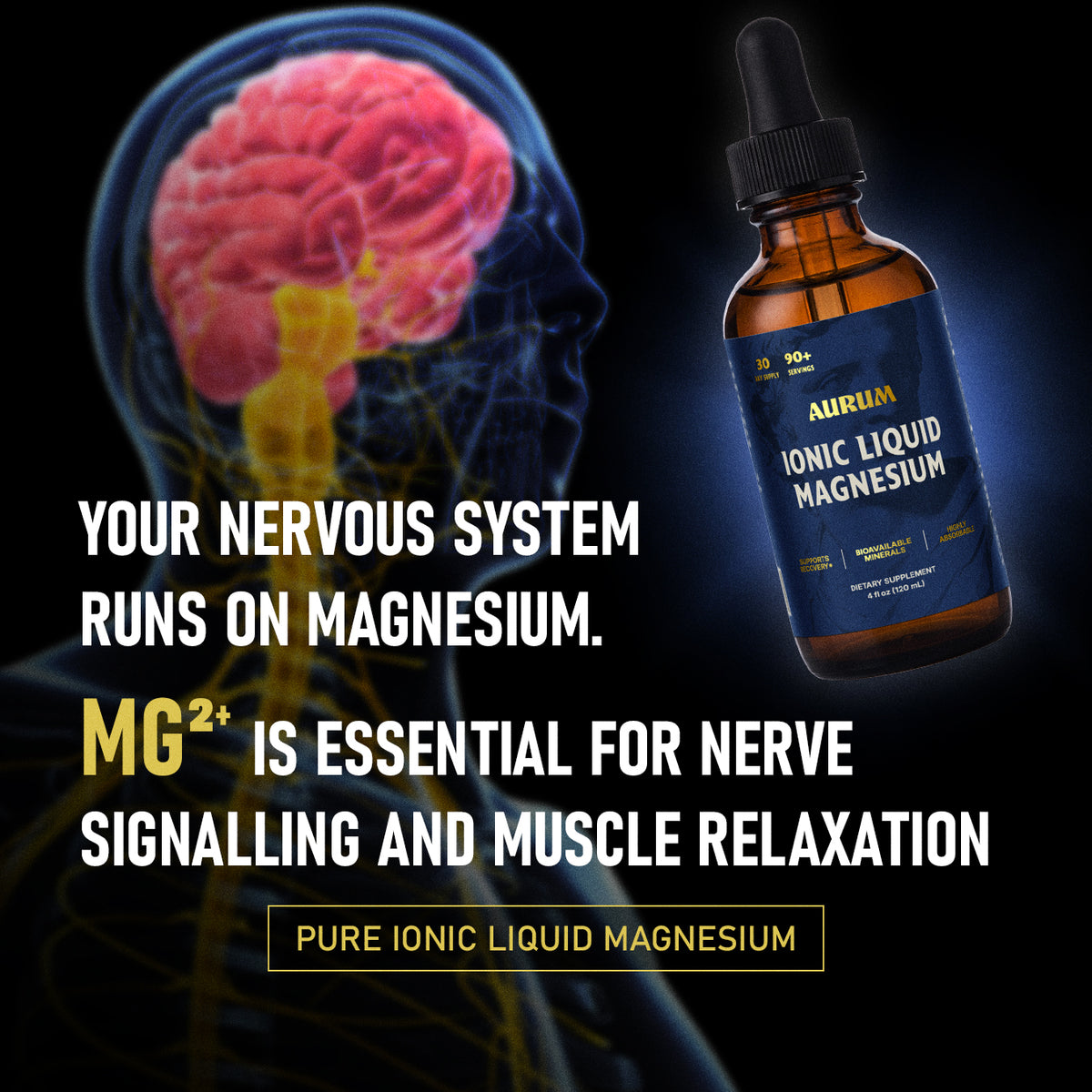 Aurum Ionic Liquid Magnesium bottle beside an illustration of the human head and nervous system
