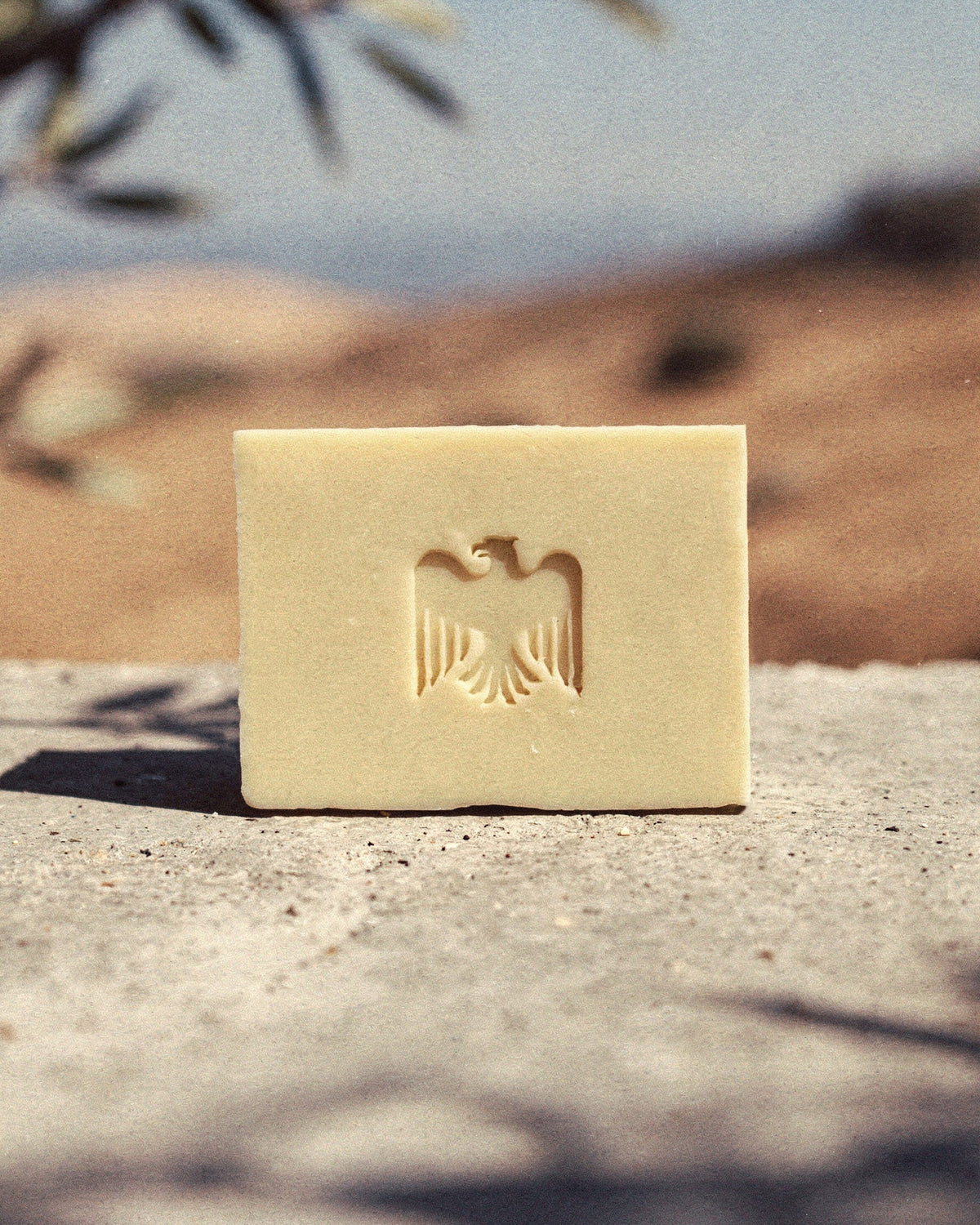 Aquilux Olive Oil Sol Soap close-up texture detail
