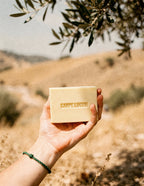 Aquilux Olive Oil Sol Soap with botanicals on stone surface