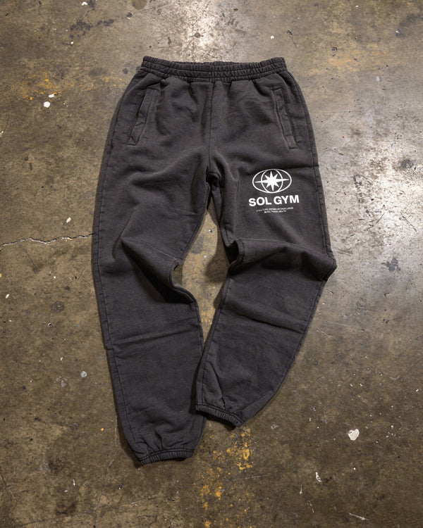 Lux Vintage Culture Sweatpants detail — SOL GYM